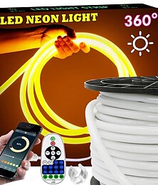 economico -Striscia luminosa a LED al neon 360 con app Bluetooth, sincronizzazione musicale, 10-132 piedi, flessibile/impermeabile/luce a LED, telecomando a 23 tasti, adatta per decorazioni per