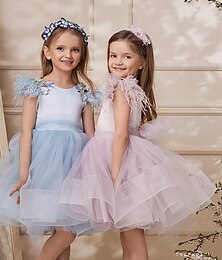 economico -Abito da cerimonia per ragazza dei fiori lunghezza al ginocchio quindici anni Elsa di Frozen abito da ballo carino tulle con arricciature stile reale tutu per ragazze da 3 a 16 anni