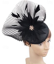 preiswerte -Kopfstück Federn Hochzeit Abendgesellschaft Elegant Hochzeit Mit Feder Kopfschmuck Kopfbedeckung