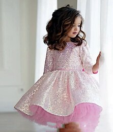 levne -Děti Dívčí Šaty Šaty na párty Pevná barva Dlouhý rukáv Výkon Flitry Síťka Princeznovské Sladký Síťka Délka ke kolenům Plášťové šaty Tylové šaty Léto Jaro Podzim Děti Sytě červená