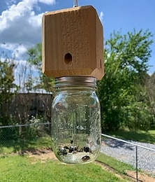 preiswerte -1 Stück hochwertige Bienenfalle aus natürlichem Holz – zum Aufhängen im Freien, Insektenfalle im Kastenstil