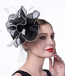 economico -Copricapo Tulle Piume Matrimonio Festa serale Elegante Matrimonio Con Piuma Copricapo Copricapo
