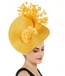 preiswerte -Kopfstück Federn Hochzeit Abendgesellschaft Elegant Hochzeit Mit Feder Kopfschmuck Kopfbedeckung