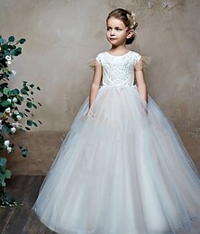 billiga -Barn Flickor Flower Girl Klänning Festklänning Ensfärgat Ärmlös Prestanda Nät Prinsessa Ljuv Maska Mitt på vaden Sheath Dress Tyllklänning Sommar Vår Höst Barn Vit Elfenben Orange