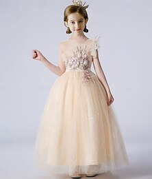 billiga -Barn Flickor Festklänning Ensfärgat Ärmlös Speciellt Tillfälle Prinsessa Polyester Maska Festklänning Sommar Vår Barn Champagne Rodnande Rosa Ljusblå