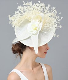 preiswerte -Kopfstück Federn Hochzeit Abendgesellschaft Elegant Hochzeit Mit Feder Kopfschmuck Kopfbedeckung