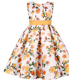 levne -Děti Dívčí Šaty na párty Grafika Krátký rukáv Zvláštní příležitosti Princeznovské Polyester Šaty na párty Léto Jaro Děti Žlutá