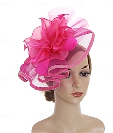economico -Copricapo Fedora in Organza di Piume Matrimonio Festa Serale Festa del Tè Corse di Cavalli Cocktail Vintage Carino Con Copricapo Floreale di Piume
