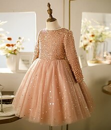 economico -Bambini Ragazze Abito Vestito da Festa Tinta unica Manica Lunga Performance Paillettes Rete Principessa Dolce Rete Metà polpaccio Tubino Vestito in Tulle Estate Primavera Autunno Bambini Rosa Vino
