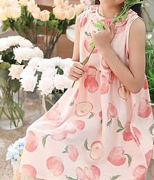 preiswerte -Kinder Mädchen Kleid Blume Ärmellos Outdoor Gerafft Niedlich Polyester Knielang Freizeitkleid Blumenkleid Sommer Ab 4 Jahren Hellrosa Rosa Blau