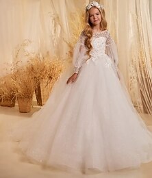 economico -Abito da Ballo Strascico Abito per Ragazze di Fiore Prima Comunione Congelato Elsa Ragazze Carino Abito da Prom Tulle con Pieghe Stile Reale Tutu Fit 3-16 Anni