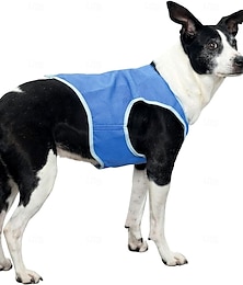 economico -gilet traspirante e rinfrescante per cani con imbracatura in velcro per cani di taglia media, grande e piccola - giacca rinfrescante per l'addestramento all'escursionismo all'aperto