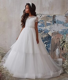 economico -Abito da principessa lunghezza a terra Abito per ragazza dei fiori Prima Comunione Frozen Elsa Ragazze abito da ballo carino tulle con arricciature stile reale tutu adatto per 3-16 anni