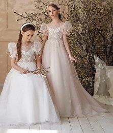 economico -Abito da Ballo Strascico  Spazzola Abito da Ragazza Fiorista Festa di Matrimonio Frozen Elsa Bambine Carino Abito da Prom Tulle con Arricciatura Stile Regale Tutu Fit 3-16 Anni