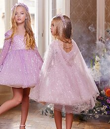 economico -Abito da ballo lungo sopra il ginocchio per ragazza fioriera Quinceanera Frozen Elsa per bambine Abito carino da ballo in tulle con stile tutu increspato reale adatto per 3-16 anni
