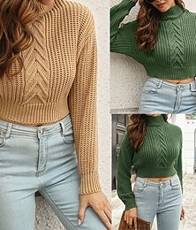 preiswerte -Damen Pullover Lässig Einfarbig Grobstrick Rollkragen Gestrickt Langarm Crop Tops Stricken Täglich Ferien Ausgehen Braun Grün Herbst Winter