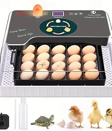 abordables -L'incubateur intelligent peut contenir 12 à 18 œufs, affichage numérique de la température à LED, rotation automatique des œufs et ajout d'eau pour les œufs, œufs de canard, œufs de perroquet,