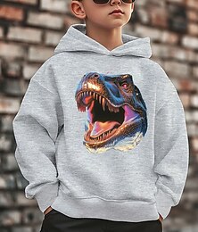 economico -Ragazzi 3D Dinosauro Felpa con Cappuccio Manica Lunga Primavera Autunno Moda Streetwear Bambini 4-12 Anni Con cappuccio All'aperto Casuale Quotidiano Vestibilità regolare