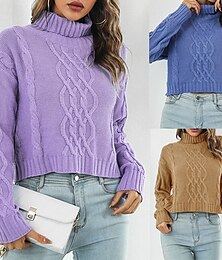 preiswerte -Damen Pullover Lässig Einfarbig Grobstrick Rollkragen Gestrickt Langarm Normale Oberteile Stricken Täglich Ferien Ausgehen Blau Purpur Herbst Winter
