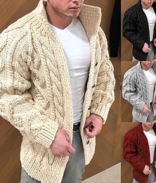 preiswerte -Herren Pullover Strickjacke Zopfmuster Stricken Normale Oberteile Gestrickt Einfach Stehkragen Moderne zeitgenössische Lässig Lässig Alltagskleidung Bekleidung Herbst Winter Weinrot Schwarz S M L