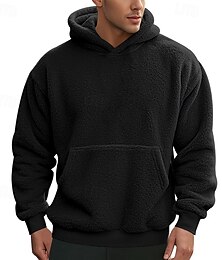 abordables -Hombre Sudadera Sudadera Con Capucha Sudadera con capucha de lana Negro Azul Piscina Marrón Caqui Gris Con Capucha Plano Bolsillo Bolsillo delantero Casual Diario Festivos Ropa de calle Casual Borroso