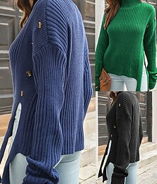 economico -Per donna Maglione Casual Tinta unica Spesso Dolcevita Lavorato a maglia Manica Lunga Top Regolari Maglia Quotidiano Ferie Uscire Nero Blu Autunno Inverno