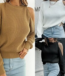 abordables -Femmes Pull Occasionnel Couleur Unie Épais Col ras du cou Tricoté manche longue Hauts Réguliers Tricoter Quotidien Fête Sortir Noir Blanche Automne Hiver