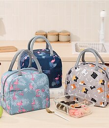 billiga -lunchväska för kvinnor och män för skolstart, kontor, picknick, vandring, strand, tryckt handhållen bentoväska, förtjockad, isolerad, varm kylväska, söt tecknad design för arbete och utomhusbruk