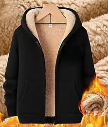 baratos -Homens Moletom Full Zip Hoodie Casaco de lã Preto Com Capuz Tecido Bolsos Desportos e Ar livre Diário Feriado Poliéster Roupa de rua Básico Casual Outono Inverno Roupa Moletons Moletons