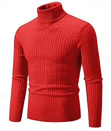 abordables -Hombre Suéter de punto Estriado Tejer Tops regulares De Punto Plano Cuello Alto Moda Básico Vacaciones Ropa Cotidiana Ropa Otoño Invierno Vino Negro S M L