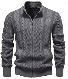 preiswerte -Herren Strickjacke Zopfmuster Stricken Normale Oberteile Reißverschluss Einfarbig Rollkragen Elegant Täglich Urlaub Lässig Bekleidung Frühling Herbst Schwarz Dunkelgrau S M L