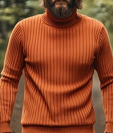 preiswerte -Herren Pullover Strickpullover Gerippt Stricken Normale Oberteile Gestrickt Einfach Rollkragen Mode Basic Urlaub Alltagskleidung Bekleidung Herbst Winter Schwarz Weiß M L XL