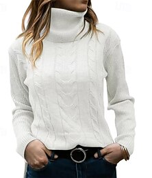 abordables -Femmes Pull Mode Streetwear Occasionnel Couleur Unie Côtelé Col roulé Tricoté manche longue Hauts Réguliers Tricoter Extérieur Quotidien Week-end Noir Blanche Automne Hiver