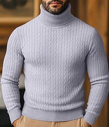 abordables -Homme Pull Torsadé Tricoter Hauts Réguliers Tricoté Coupe ajustée Uni Col roulé Tricots Contemporain Occasionnel Tenue quotidienne Vêtement Tenue Automne Hiver Vin Jaune naturel M L XL