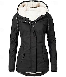 preiswerte -Damen Wintermantel Kapuzenjacke Warm Bequem Reißverschluss Tasche Lässig Einfach Outdoor Urlaub Alltagskleidung Wochenende Regulär Mit Kapuze Normale Passform Langarm Oberbekleidung Marineblau