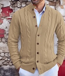 abordables -Homme Pull Gilet Cardigan Côtelé Torsadé Tricoter Hauts Réguliers Tricoté Uni Col haut Vacances Mode Occasionnel Tenue quotidienne Vêtement Tenue Automne Printemps & Automne Kaki Gris M L XL
