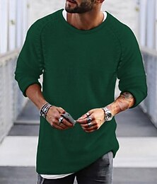 preiswerte -Herren Pullover Zur Seite fahren Stricken Standard Einfarbig Rundhalsausschnitt Pullover Täglich Bekleidung Raglanärmel Winter Grün Schwarz M L XL