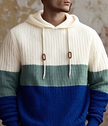 abordables -Homme Pull Pull Tricoté Côtelé Tricoter Hauts Réguliers Tricoté Bloc de Couleur À capuche Mode Basique Vacances Tenue quotidienne Vêtement Tenue Automne Hiver Vert S M L