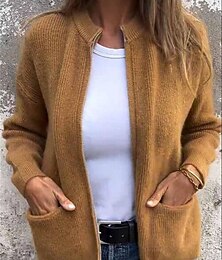 billiga -Dam Tröja Kofta Elegant Mode Streetwear Ren färg Hög krage Dragkedja Stickat Långärmad Vanliga toppar Sticka Utomhus Dagligen Helgen Svart Gul Höst Vinter