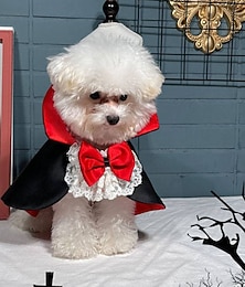 preiswerte -1-teiliges Halloween-Haustier-Umhangkostüm – rotes und schwarzes Vampirdesign mit verstellbaren Trägern. Ganzjahreskleidung für kleine/mittelgroße/große Hunde und Katzen für Halloween-Partys und Themenveranstaltungen. Halloween-Kostüme