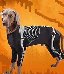 preiswerte -Halloween-Hundekostüm – Skelett-Outfit mit vollständiger Skelettgrafik zum Überziehen für mittelgroße Hunde – strapazierfähige Polyester-Kleidung für Halloween-Partys, „Süßes oder