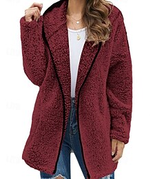 preiswerte -Damen Teddymantel Kapuzenjacke Warm Bequem Reißverschluss Lässig Einfach Urlaub Straße Ausgehen Wochenende Regulär Kapuzenpullover Lässiger Schnitt Langarm Oberbekleidung Schwarz Hellgrün Rosa Herbst