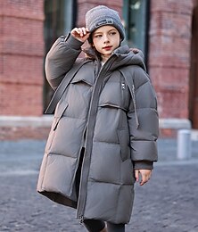 abordables -Doudoune Enfants Fille Couleur Unie Mode Garder au chaud Extérieur Polyester Manteau Vêtements d'extérieur 4-12 ans Automne Noir