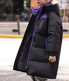 economico -Bambini Unisex Giacca in piuma Giacca da esterno Giacca Imbottita Capispalla Tinta unica Manica Lunga Tenere al caldo Antivento Cappotto All'aperto Quotidiano Essenziale Nero Beige Autunno Inverno