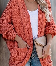 abordables -Femmes Pull Cardigan Élégant Mode Streetwear Couleur Unie Ouvert devant Avec Poches Tricoté manche longue Hauts Réguliers Tricoter Extérieur Quotidien Week-end Noir Rouge Automne Hiver