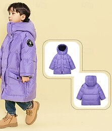 billiga -Barn Unisex Ner Hoodiejacka Pufferjacka Ytterkläder Ensfärgat Långärmad Ficka Täcka Utomhus Dagligen Grundläggande Svart Rubinrött Purpur Höst Vinter 4 år +