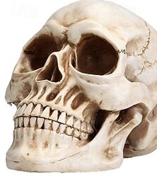 abordables -Décorations de fête d'Halloween en forme de crâne grandeur nature de 7,9 pouces, modèle de tête humaine pour la décoration de la maison, statue d'Halloween, modèle d'os de tête adulte, centre de