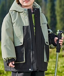 billiga -Barn Pojkar Fleece-jacka Vandringsjacka Friluftsjacka Ytterkläder Färgblock Långärmad Dragkedja Ficka Komfort VATTENTÄT Vindtät Täcka Utomhus Mode Dagligen Grön Vår Höst 4 år +