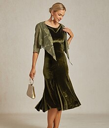 preiswerte -Damen Midikleid Trompeten- Meerjungfrauenkleid Elegant Party Hochzeitsgast Cocktailparty Normale Passform Einfarbig Ärmellos Wasserfallausschnitt Olive Frühling Herbst Winter