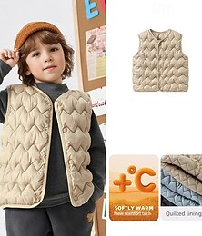 billiga -Barn Unisex Västkappa Ytterkläder Ensfärgat Ärmlös Knappar Håller värmen Mjukt Andningsfunktion Täcka Utomhus Mode Dagligen Svart Rodnande Rosa Blå Höst Vinter 4 år +